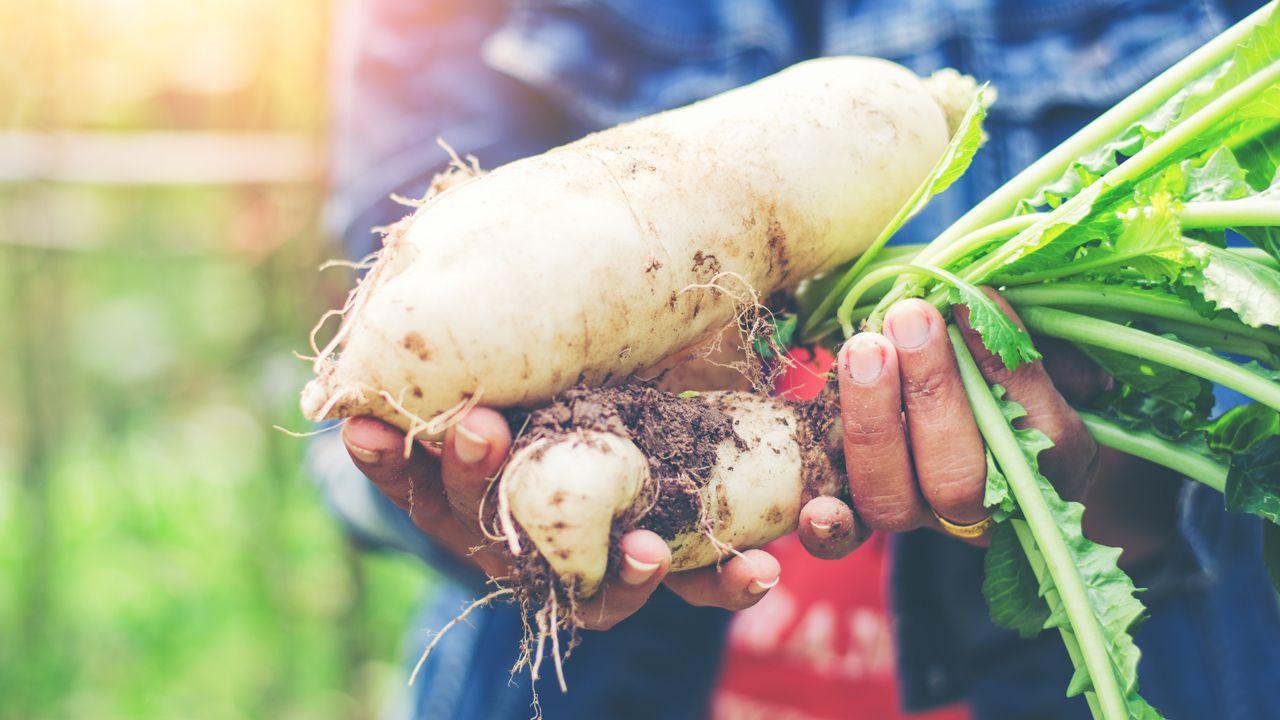 Regenerative Agriculture - Online Course